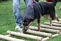 IMG_2194