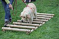IMG_2199