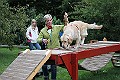 IMG_2227