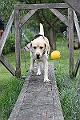 IMG_2244
