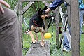 IMG_2249