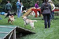 IMG_2269