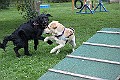 IMG_2272