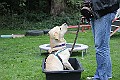 IMG_2297