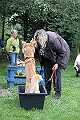 IMG_2311