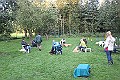 IMG_2354