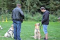 IMG_2391