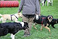 IMG_2527