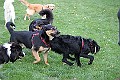 IMG_2528
