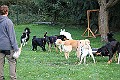 IMG_2535