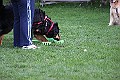 IMG_2548