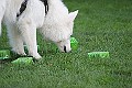 IMG_2555