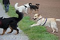 IMG_2582