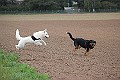 IMG_2583