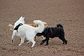 IMG_2586