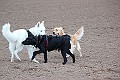 IMG_2587