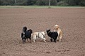 IMG_2588