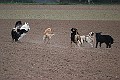 IMG_2601