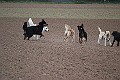 IMG_2602