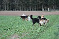 IMG_2680
