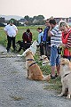 IMG_3338