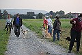 IMG_3347