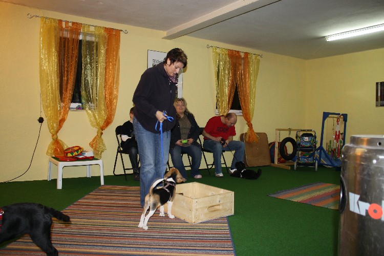 IMG_4187.jpg