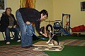 IMG_4203