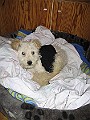 IMG_3796