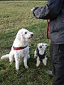 IMG_3803