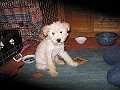 IMG_3836
