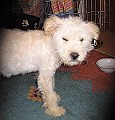 IMG_3839-1