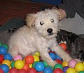 IMG_3925