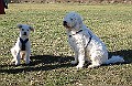 IMG_3936