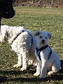 IMG_3937