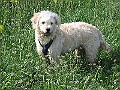 IMG_4191
