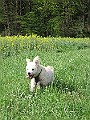 IMG_4199