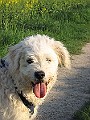 IMG_4293