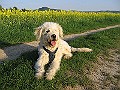 IMG_4298