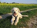 IMG_4299