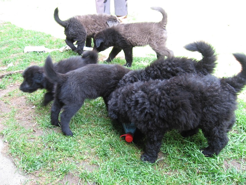 Img0478.JPG