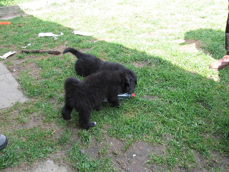 Img0480.JPG