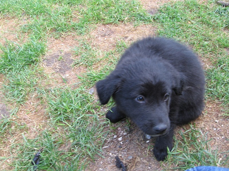 Img0492.JPG