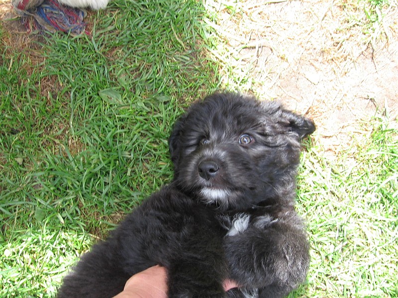 Img0504.JPG