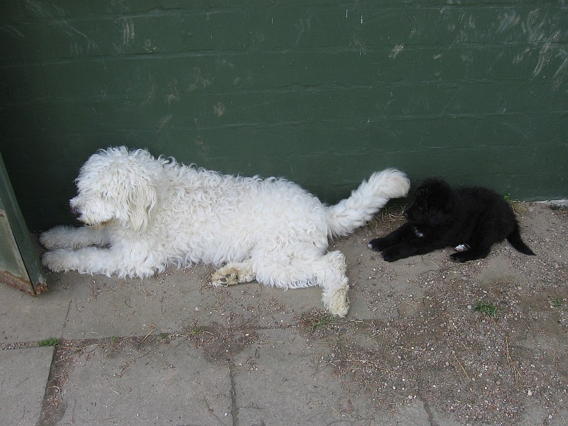 Img0510.JPG