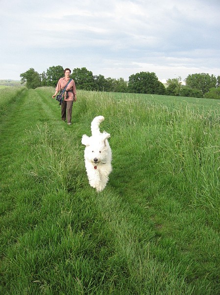 Img0567.JPG