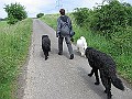 IMG_2094