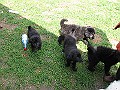 Img0479