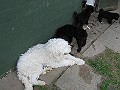 Img0487