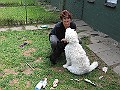 Img0495